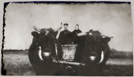 My grandparents travelling to the Yorkton Mill (circa 1915)